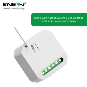 ENER-J Non Dimmable 5A RF Mini Receiver - Code WS1055M